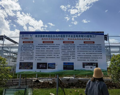 探访南京溧水白马镇数字化建设 信息技术成为激活乡村振兴的新动能